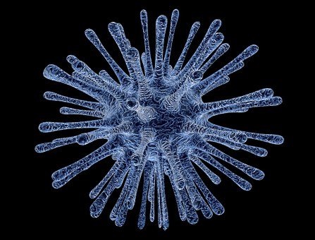 Aktuelle Informationen zum Coronavirus