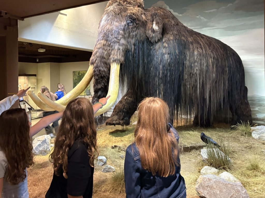 Höhlenmalerei, Mammuts und ein Schatz – Jahrgang 6 JGS besucht Museum Wilnsdorf
