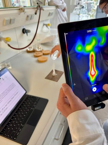 215e049c-e1b5-49b0-8578-5f7e6baa4cb1