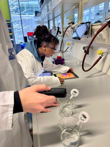 b9b0ffbb-3bc6-4c58-95c4-933338023c29